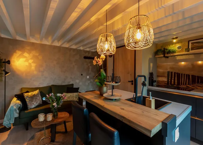 Apartment Bon Zoutelande By Interhome